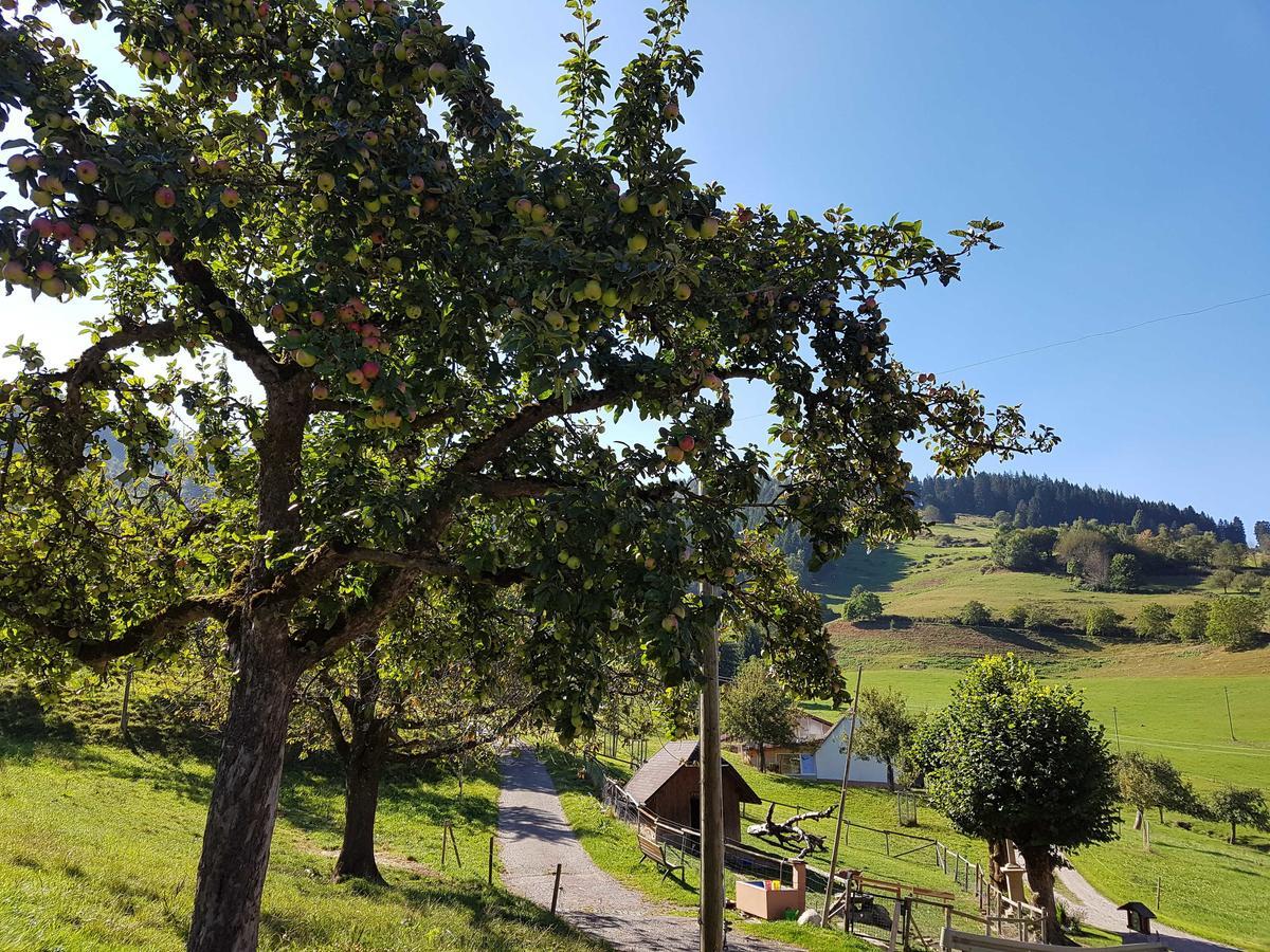 Willa Maierhof Oberried  Zewnętrze zdjęcie